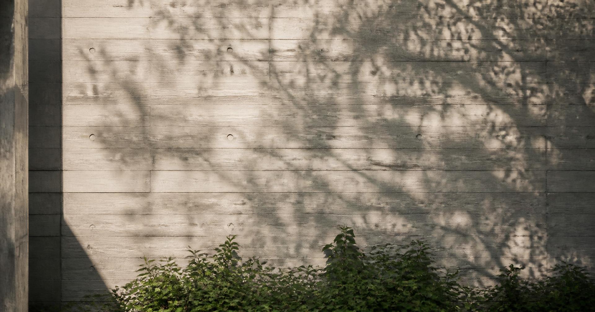 Sichtbetonwand mit Blattschatten
